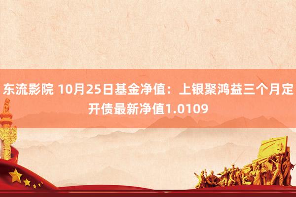 东流影院 10月25日基金净值：上银聚鸿益三个月定开债最新净值1.0109
