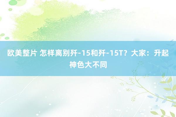 欧美整片 怎样离别歼-15和歼-15T？大家：升起神色大不同