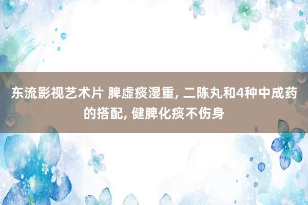 东流影视艺术片 脾虚痰湿重， 二陈丸和4种中成药的搭配， 健脾化痰不伤身