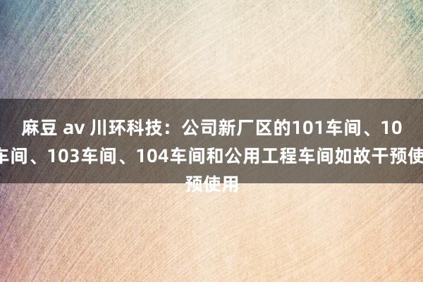 麻豆 av 川环科技：公司新厂区的101车间、102车间、103车间、104车间和公用工程车间如故干预使用