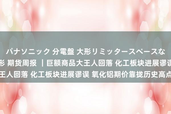パナソニック 分電盤 大形リミッタースペースなし 露出・半埋込両用形 期货周报 ｜巨额商品大王人回落 化工板块进展谬误 氧化铝期价靠拢历史高点