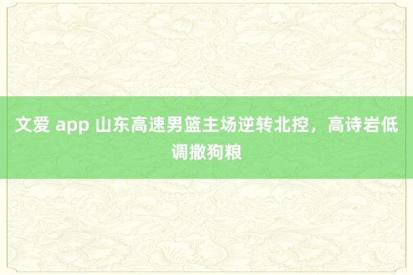 文爱 app 山东高速男篮主场逆转北控，高诗岩低调撒狗粮