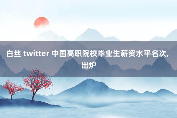 白丝 twitter 中国高职院校毕业生薪资水平名次， 出炉