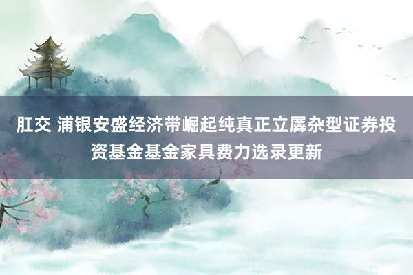肛交 浦银安盛经济带崛起纯真正立羼杂型证券投资基金基金家具费力选录更新