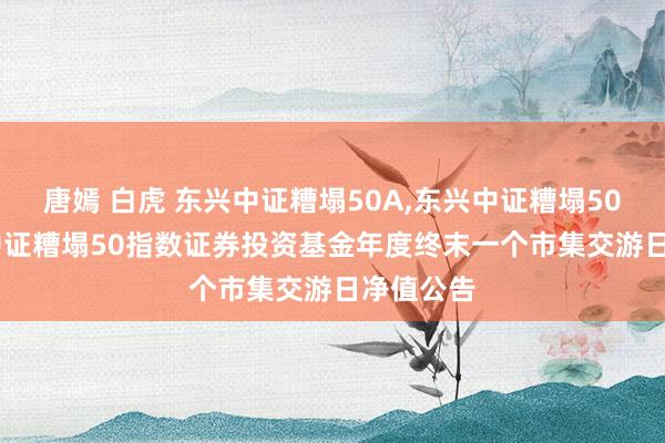 唐嫣 白虎 东兴中证糟塌50A,东兴中证糟塌50C: 东兴中证糟塌50指数证券投资基金年度终末一个市集交游日净值公告