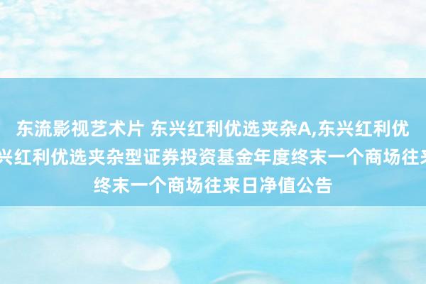 东流影视艺术片 东兴红利优选夹杂A,东兴红利优选夹杂C: 东兴红利优选夹杂型证券投资基金年度终末一个商场往来日净值公告