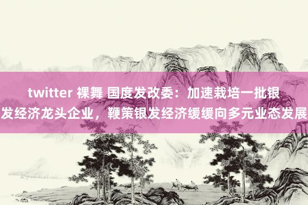 twitter 裸舞 国度发改委：加速栽培一批银发经济龙头企业，鞭策银发经济缓缓向多元业态发展