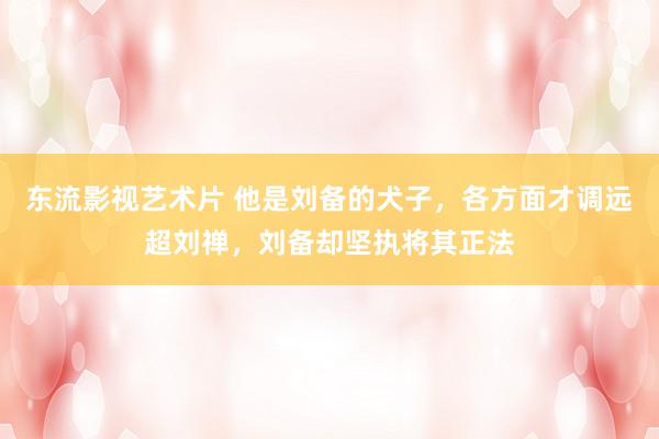 东流影视艺术片 他是刘备的犬子，各方面才调远超刘禅，刘备却坚执将其正法