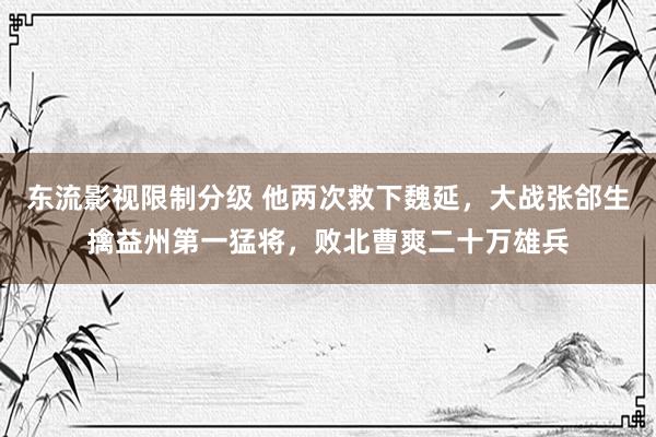 东流影视限制分级 他两次救下魏延，大战张郃生擒益州第一猛将，败北曹爽二十万雄兵