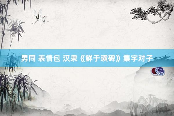男同 表情包 汉隶《鲜于璜碑》集字对子