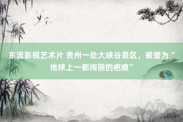 东流影视艺术片 贵州一处大峡谷景区，被誉为“地球上一都绚丽的疤痕”