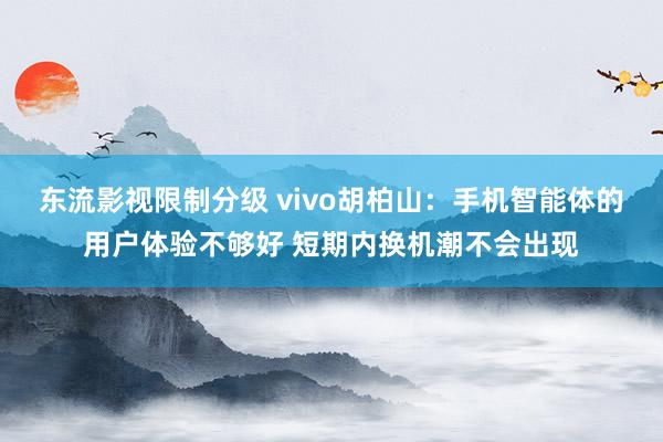 东流影视限制分级 vivo胡柏山：手机智能体的用户体验不够好 短期内换机潮不会出现