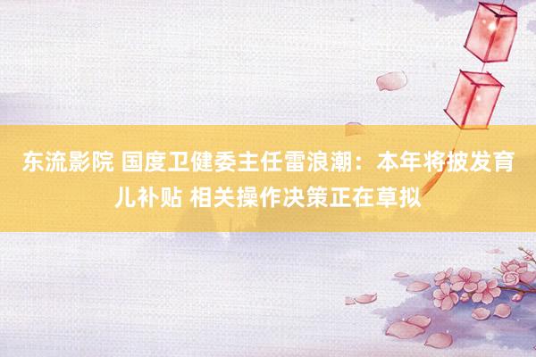 东流影院 国度卫健委主任雷浪潮：本年将披发育儿补贴 相关操作决策正在草拟