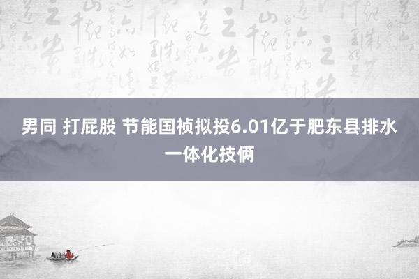 男同 打屁股 节能国祯拟投6.01亿于肥东县排水一体化技俩