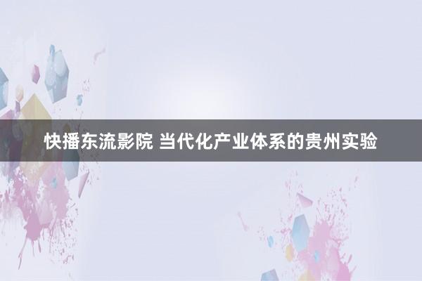 快播东流影院 当代化产业体系的贵州实验