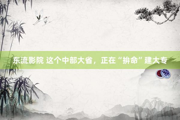东流影院 这个中部大省，正在“拚命”建大专