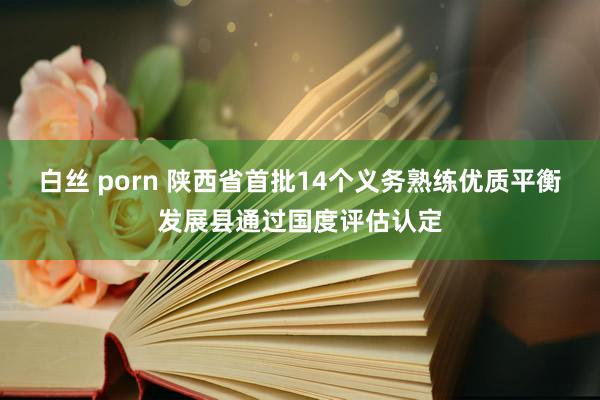 白丝 porn 陕西省首批14个义务熟练优质平衡发展县通过国度评估认定