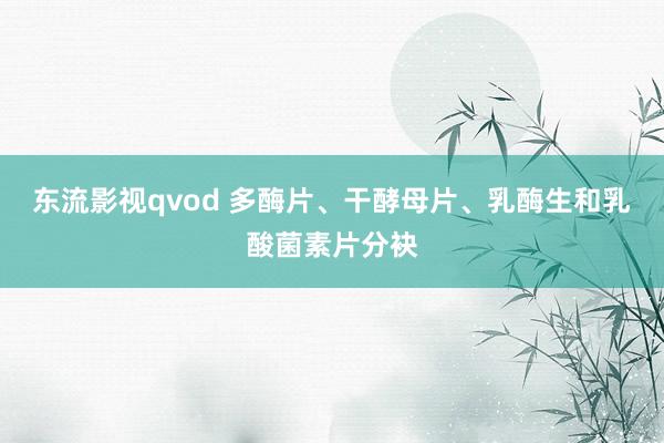 东流影视qvod 多酶片、干酵母片、乳酶生和乳酸菌素片分袂