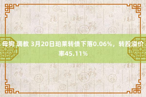 母狗 调教 3月20日珀莱转债下落0.06%，转股溢价率45.11%