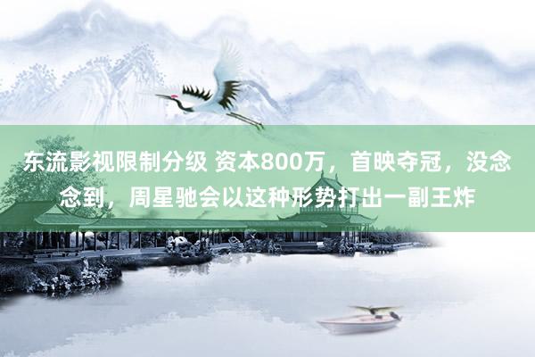 东流影视限制分级 资本800万，首映夺冠，没念念到，周星驰会以这种形势打出一副王炸
