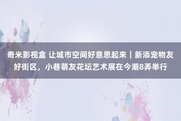 奇米影视盒 让城市空间好意思起来｜新添宠物友好街区，小巷萌友花坛艺术展在今潮8弄举行