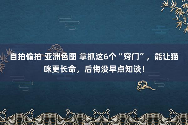 自拍偷拍 亚洲色图 掌抓这6个“窍门”，能让猫咪更长命，后悔没早点知谈！