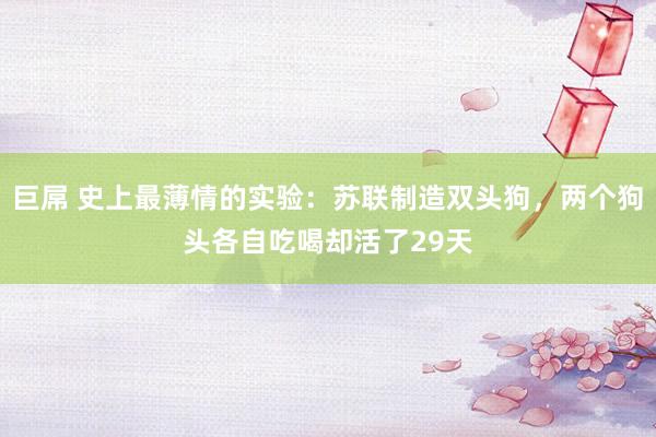 巨屌 史上最薄情的实验：苏联制造双头狗，两个狗头各自吃喝却活了29天