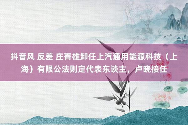 抖音风 反差 庄菁雄卸任上汽通用能源科技（上海）有限公法则定代表东谈主，卢晓接任
