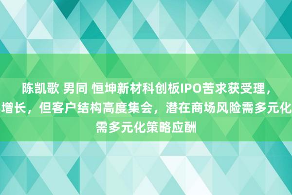 陈凯歌 男同 恒坤新材科创板IPO苦求获受理，营收连年增长，但客户结构高度集会，潜在商场风险需多元化策略应酬