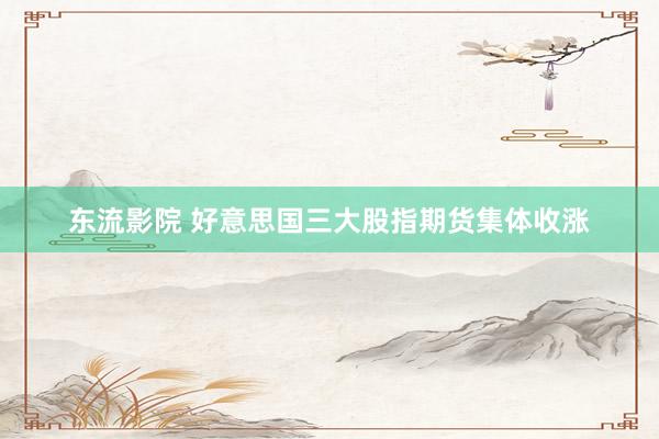 东流影院 好意思国三大股指期货集体收涨