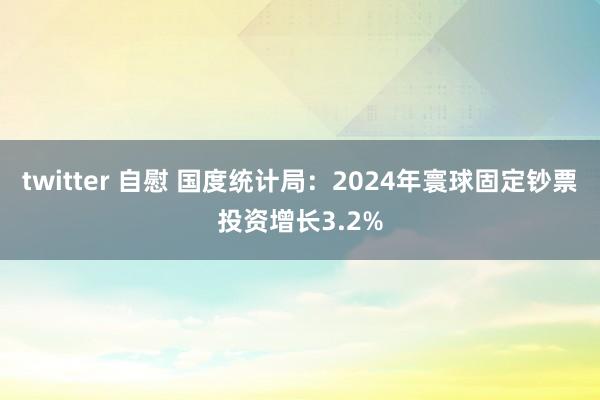 twitter 自慰 国度统计局：2024年寰球固定钞票投资增长3.2%