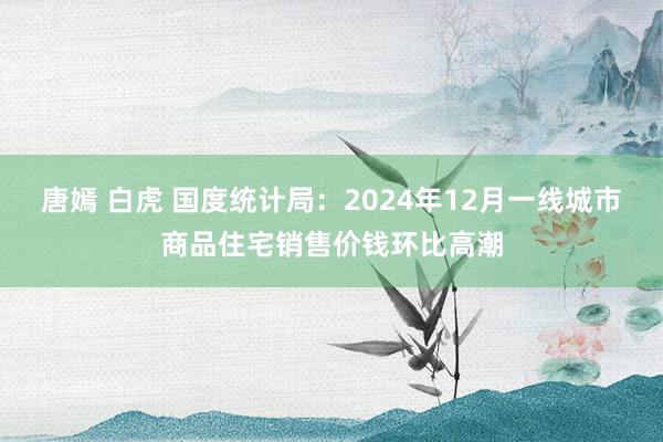 唐嫣 白虎 国度统计局：2024年12月一线城市商品住宅销售价钱环比高潮