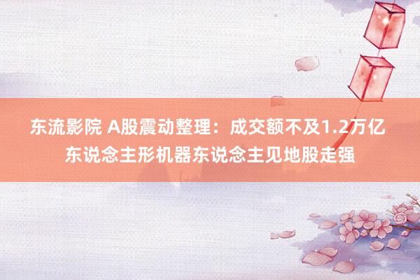 东流影院 A股震动整理：成交额不及1.2万亿 东说念主形机器东说念主见地股走强