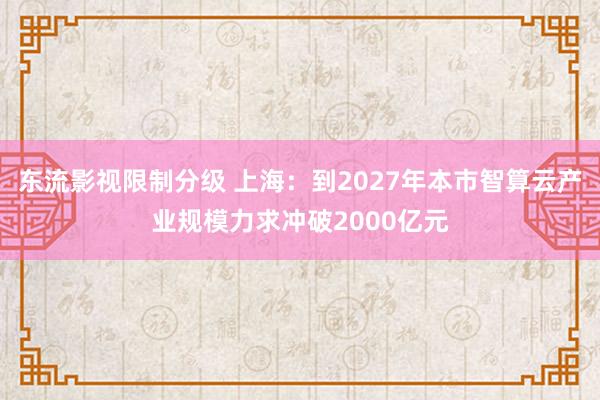东流影视限制分级 上海：到2027年本市智算云产业规模力求冲破2000亿元