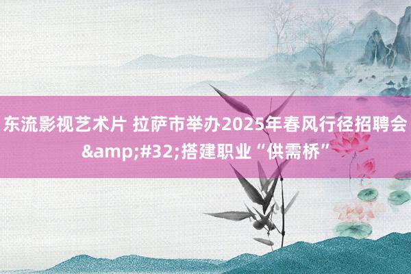 东流影视艺术片 拉萨市举办2025年春风行径招聘会&#32;搭建职业“供需桥”