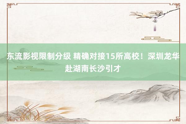 东流影视限制分级 精确对接15所高校！深圳龙华赴湖南长沙引才