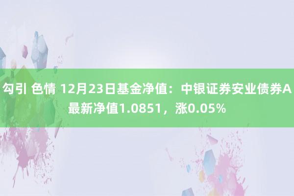 勾引 色情 12月23日基金净值：中银证券安业债券A最新净值1.0851，涨0.05%