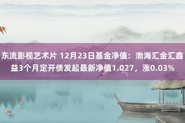 东流影视艺术片 12月23日基金净值：渤海汇金汇鑫益3个月定开债发起最新净值1.027，涨0.03%
