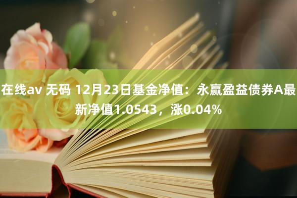 在线av 无码 12月23日基金净值：永赢盈益债券A最新净值1.0543，涨0.04%