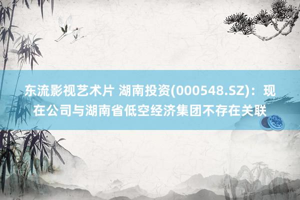 东流影视艺术片 湖南投资(000548.SZ)：现在公司与湖南省低空经济集团不存在关联