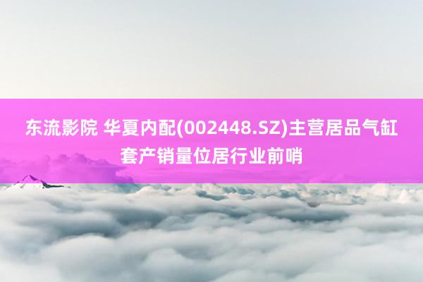 东流影院 华夏内配(002448.SZ)主营居品气缸套产销量位居行业前哨
