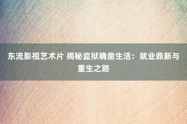 东流影视艺术片 揭秘监狱确凿生活：就业鼎新与重生之路
