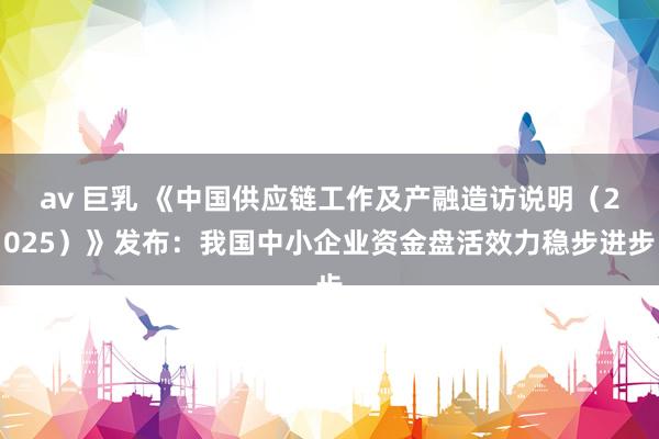 av 巨乳 《中国供应链工作及产融造访说明（2025）》发布：我国中小企业资金盘活效力稳步进步
