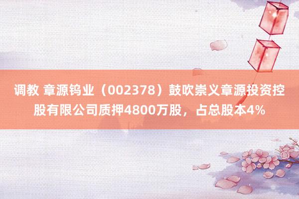调教 章源钨业（002378）鼓吹崇义章源投资控股有限公司质押4800万股，占总股本4%