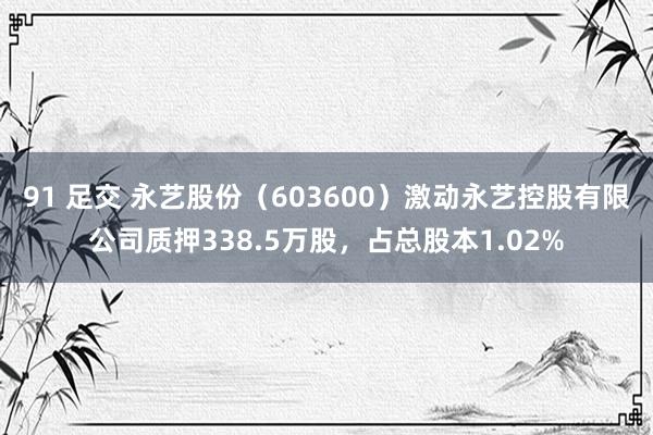 91 足交 永艺股份（603600）激动永艺控股有限公司质押338.5万股，占总股本1.02%