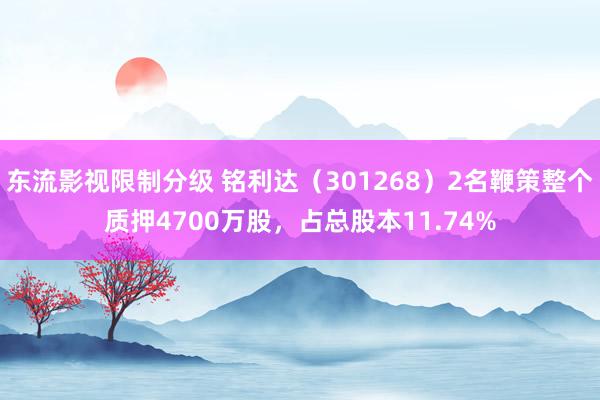 东流影视限制分级 铭利达（301268）2名鞭策整个质押4700万股，占总股本11.74%