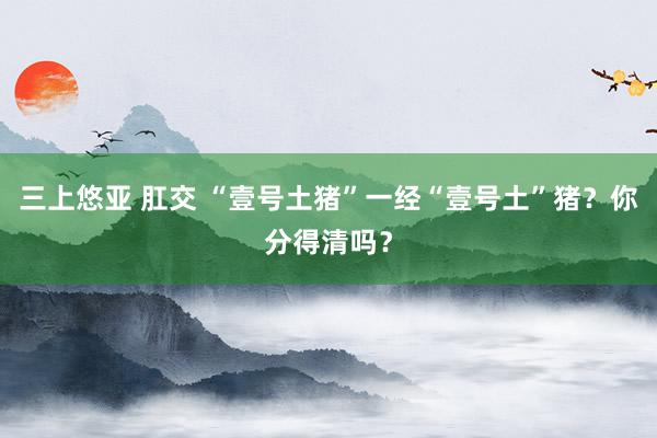 三上悠亚 肛交 “壹号土猪”一经“壹号土”猪?你分得清吗?