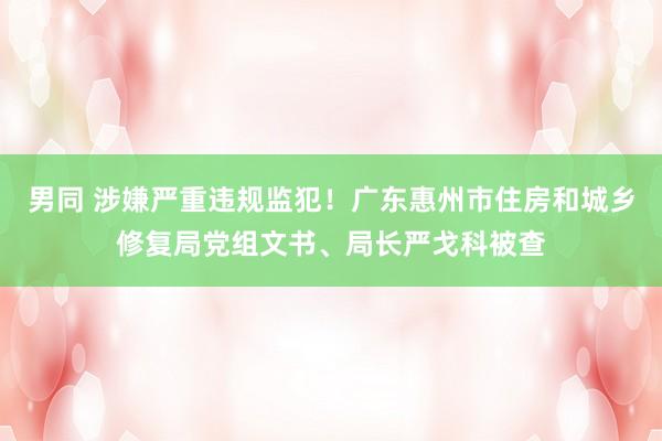 男同 涉嫌严重违规监犯！广东惠州市住房和城乡修复局党组文书、局长严戈科被查
