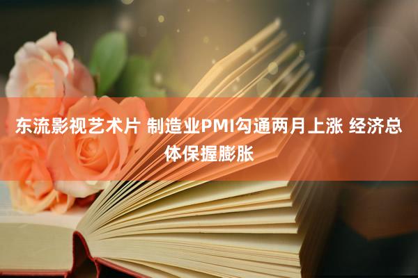 东流影视艺术片 制造业PMI勾通两月上涨 经济总体保握膨胀