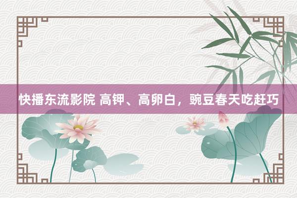 快播东流影院 高钾、高卵白，豌豆春天吃赶巧